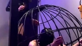 MissErinia - Mistress Erinia Humiliates The Slave In The