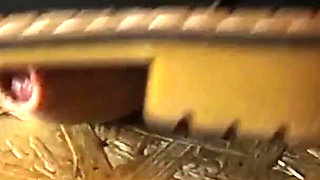 Step on the Penis and Ejaculate