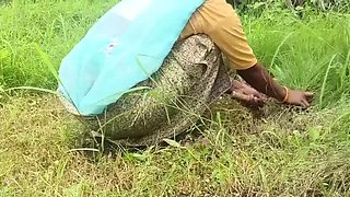 Skinny Indian Bhabhi Fingered and Fucked Hard by Devar in Jungle Field