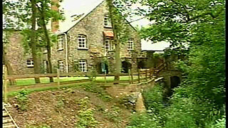 Mammary Manor (1991)