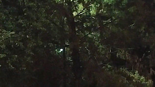 Thick BBW Wife Public Fun!