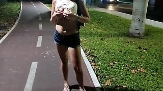 I Flash My Tits at the Bus Stop and While Walking
