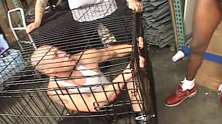 Rought Sex with BBC While Her Husband Watches