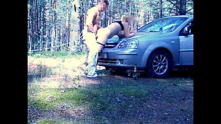 Sex Holiday in Forest