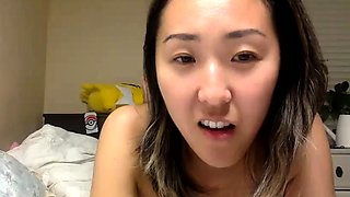Sexy teen doggystyle fuck on webcam close up