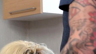 Blonde with silicone tits Brooklyn Blue rammed in her lovely poses