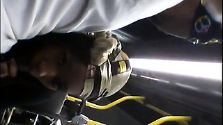 Brain's Blowjob on the Bus