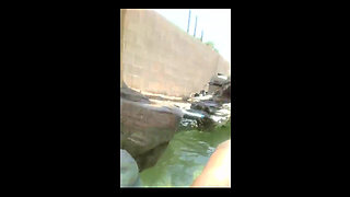 Stream