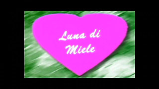 A Perfect and Passionate Honeymoon (movie)