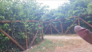 Masturbation: I Showed My Hard-on to a Slut in the Park!