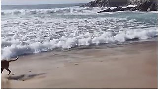 Salimos A Caminar Desnudos A La Playa