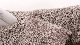 Young guy orders slut Rebbeca Brooke and is allowed to fuck her without a condom