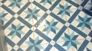 Pee on toilet seat compilation