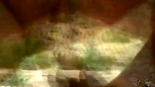 Busty Amateur Beach Milfs Ride Young Cock Outdoors