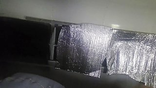 bus fun with delilah