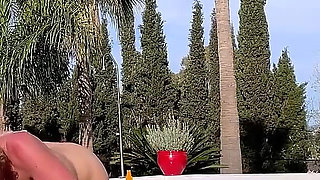 In the Sun by the Pool Having Holiday Sex