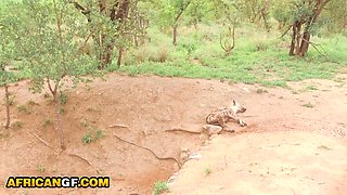 Real Black Babe Pussy Railed POV By Hung White Tourist In Safari Van - Ebony