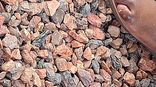 Thick Ebony Thighs N BBW Mature Feet with Plump Juicy Yellow Toes