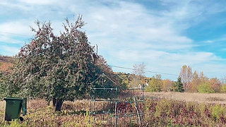 Perfect Body Tiny Petite Hana