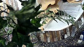 Horny fat arab housewife fingered on amateur hidden cam