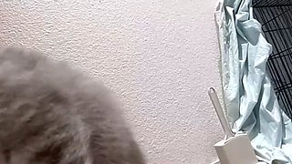 Great Big Boobs On Masturbating Redhead