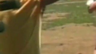 Autumn Haze & Sky Taylor Lesbians Eat Pink Dildo