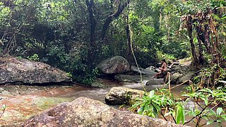 Amateur couple outdoor sex