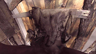 X Virtual 19 the Monster From the Woods 180°