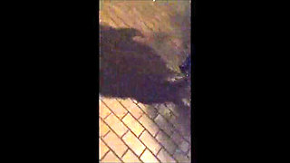 Nylon Pantyhose Stocking Feet Footjob