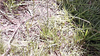 Piss on the Ground Then Come in Car