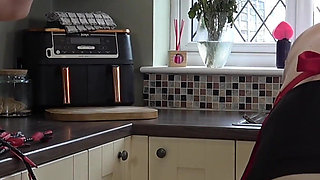 The House Wifes Bitch