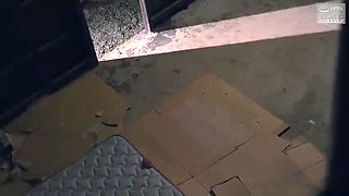 008-wgeedhy-ouhsgy-rouhy-sfs