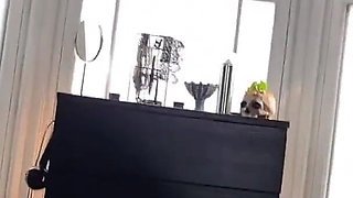 Plastic Bound and Fucked