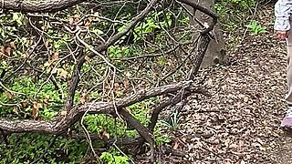 Pee Beauty in the Forest
