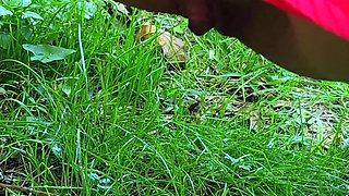 Pissing Compilation. Golden Rain. Femdom Piss. Shaving Pussy. Ep 10303