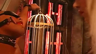 Tattooed Latex Mistress Dominates Her Collared Male Slave