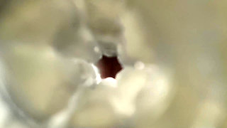 d1ll1nger - FLESHLIGHT - 2026-01-31