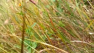 Nepali Couple Open Outdoor Doggy Style Sex Video