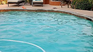 Dream MILF Skinny Dipping