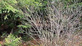 Get Naked and Walk Over It