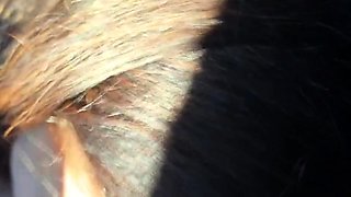 Fur-coated stepmom gives stepson a blowjob in the car