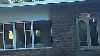 The Firewood That Never Made It Home