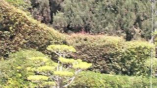 Strong anal fucking orgasm...