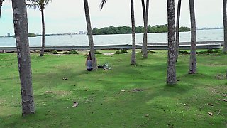 Book Nerd Gets Fucked on The Bus