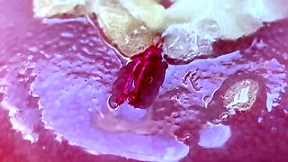 Shye White The Final Torment Before Devouring