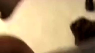 Amateur BJ Oral POV Blowjob Cumshot