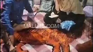Super-cute Indian Doll Deepthroating Fuckpole and Romping
