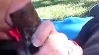 Big tit blonde gives blowjob to big cock