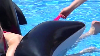 Lesbian Girls Are Having Fun in a Pool with an Inflatable Shark