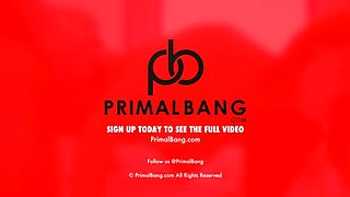Blonde Anal Slut Anja Cream Gets Rough Anal Sex in Lingerie - PrimalBang